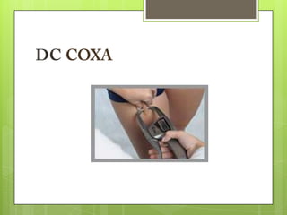 Slides avaliação física