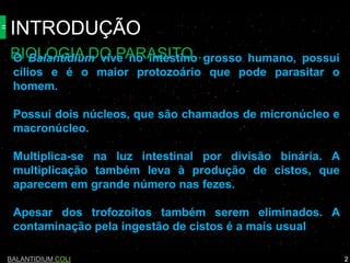 INTRODUÇÃO
BIOLOGIA DO PARASITO...
BALANTIDIUM COLI 2
O Balantidium vive no intestino grosso humano, possui
cílios e é o maior protozoário que pode parasitar o
homem.
Possui dois núcleos, que são chamados de micronúcleo e
macronúcleo.
Multiplica-se na luz intestinal por divisão binária. A
multiplicação também leva à produção de cistos, que
aparecem em grande número nas fezes.
Apesar dos trofozoítos também serem eliminados. A
contaminação pela ingestão de cistos é a mais usual
 