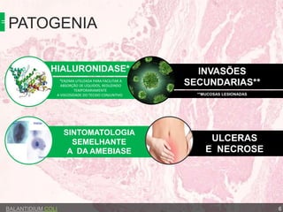 **MUCOSAS LESIONADAS
PATOGENIA
BALANTIDIUM COLI 6
*ENZIMA UTILIZADA PARA FACILITAR A
ABSORÇÃO DE LÍQUIDOS, REDUZINDO
TEMPORARIAMENTE
A VISCOSIDADE DO TECIDO CONJUNTIVO
ULCERAS
E NECROSE
SINTOMATOLOGIA
SEMELHANTE
A DA AMEBIASE
INVASÕES
SECUNDARIAS**
HIALURONIDASE*
 