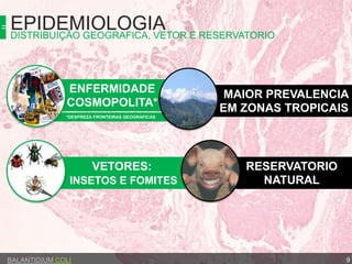*DESPREZA FRONTEIRAS GEOGRAFICAS
RESERVATORIO
NATURAL
VETORES:
INSETOS E FOMITES
MAIOR PREVALENCIA
EM ZONAS TROPICAIS
ENFERMIDADE
COSMOPOLITA*
EPIDEMIOLOGIADISTRIBUIÇÃO GEOGRAFICA, VETOR E RESERVATORIO
BALANTIDIUM COLI 9
 