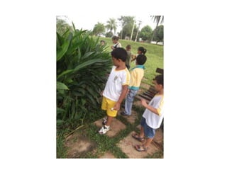 Slides bichinhos apresentação