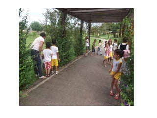 Slides bichinhos apresentação