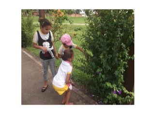 Slides bichinhos apresentação