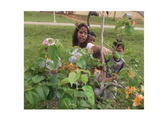 Slides bichinhos apresentação