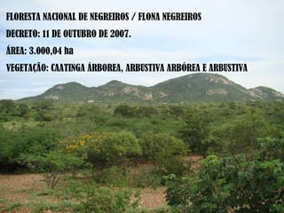 FLORESTA NACIONAL DE NEGREIROS / FLONA NEGREIROS DECRETO: 11 DE OUTUBRO DE 2007.  ÁREA: 3.000,04 ha VEGETAÇÃO: CAATINGA ÁRBOREA, ARBUSTIVA ARBÓREA E ARBUSTIVA 
