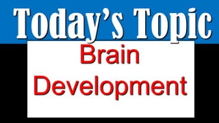 Today’s Topic
Brain
Development
 