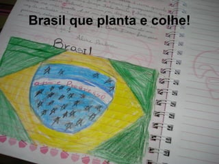 Brasil que planta e colhe! 