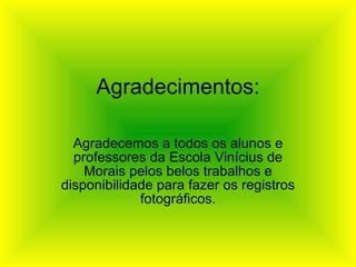 Agradecimentos: Agradecemos a todos os alunos e professores da Escola Vinícius de Morais pelos belos trabalhos e disponibilidade para fazer os registros fotográficos. 