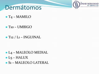 Dermátomos
● T4 – MAMILO
● T10 – UMBIGO
● T12 / L1 – INGUINAL
● L4 – MALEOLO MEDIAL
● L5 – HALUX
● S1 – MALEOLO LATERAL
 