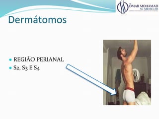 Dermátomos
● REGIÃO PERIANAL
● S2, S3 E S4
 
