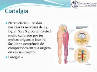 Ciatalgia
● Nervo ciático - se dão
nas raízes nervosas de L4,
L5, S1, S2 e S3, portanto ele é
muito calibroso por ter
muitas origens, e isso irá
facilitar a ocorrência de
compressões em sua origem
ou em seu trajeto.
● Lásegue +
 