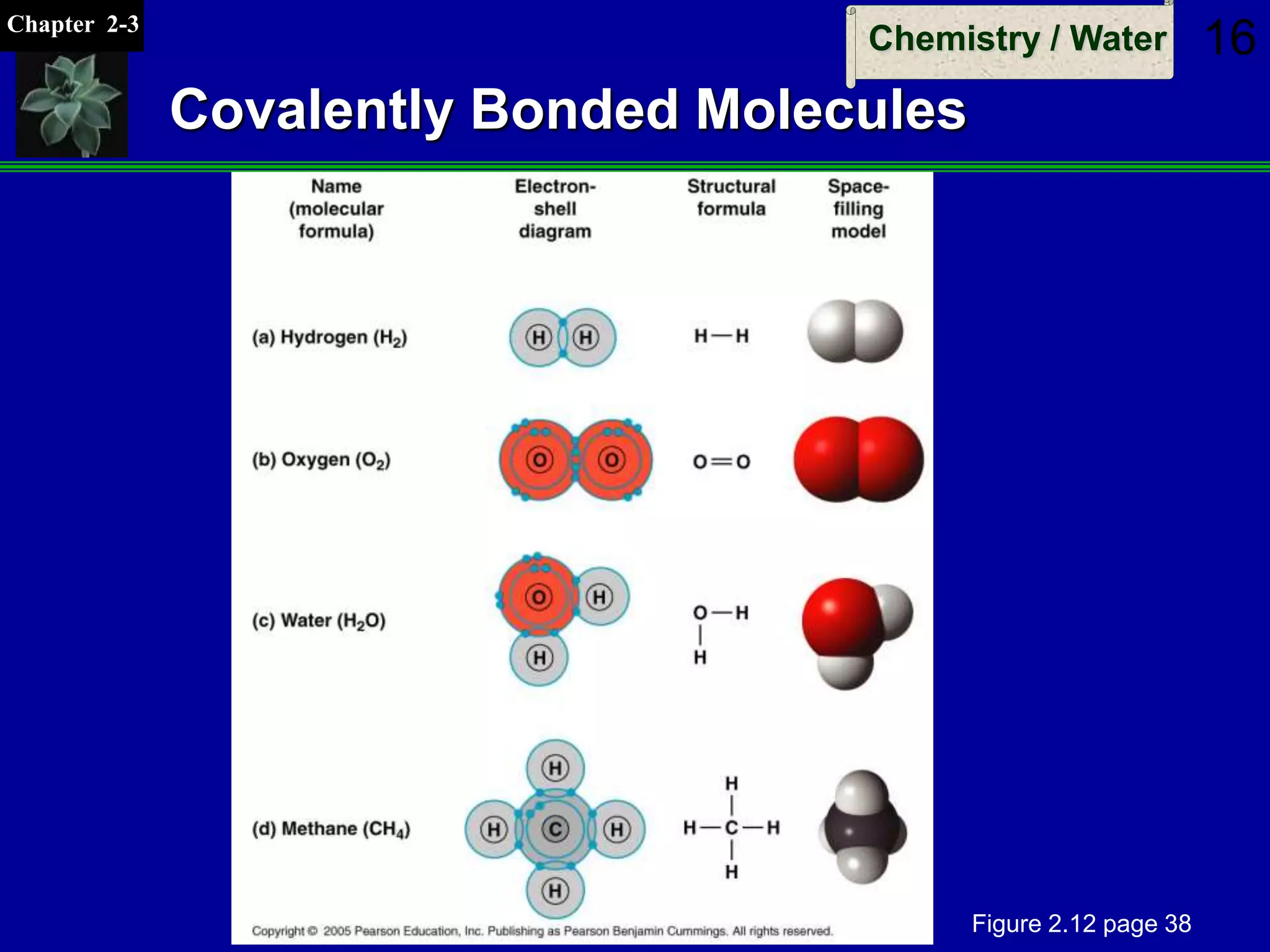 Chapter 2-3
Chemistry / Water 16
Covalently Bonded Molecules
Figure 2.12 page 38
 