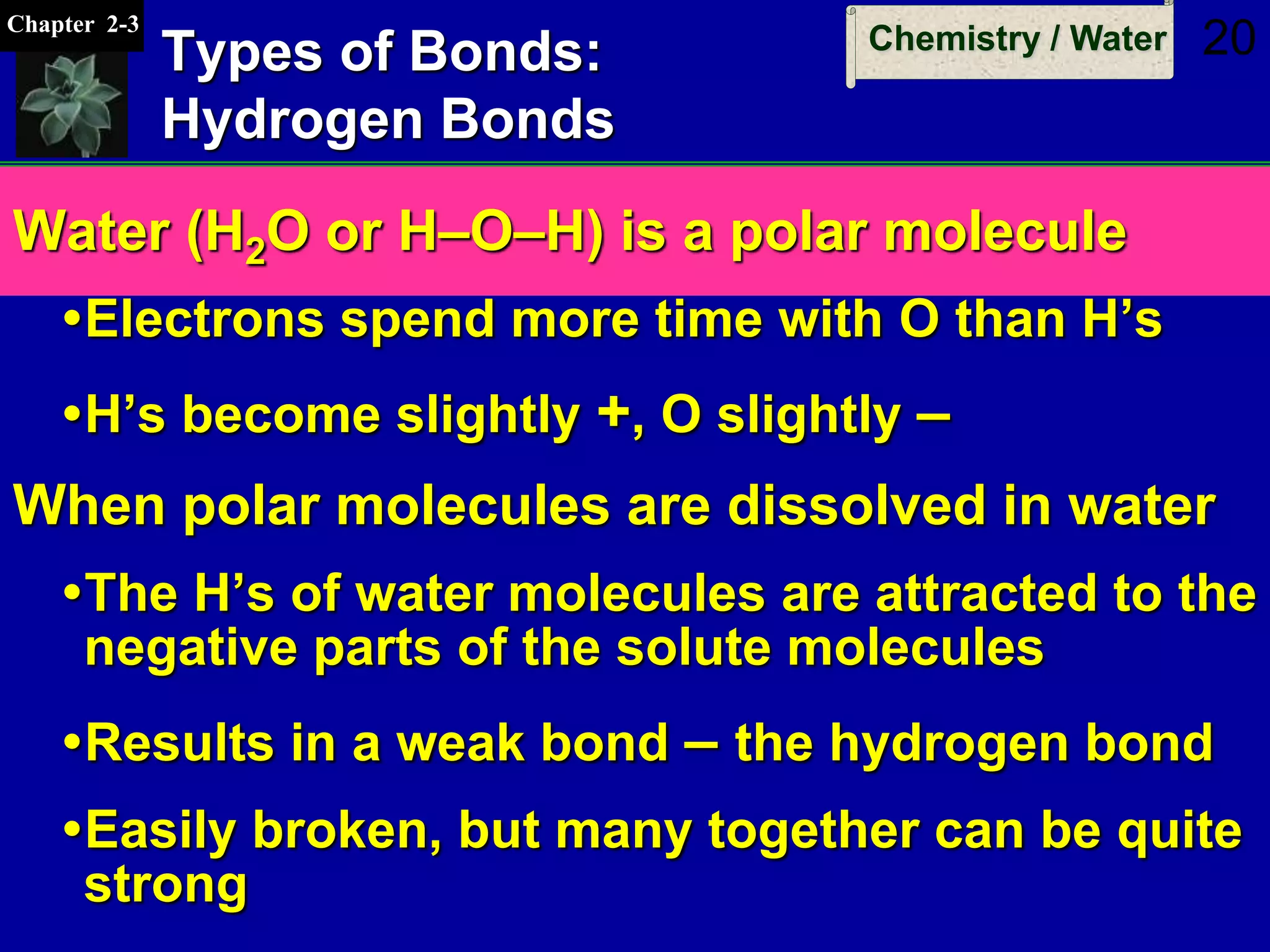 Chapter 2-3
Chemistry / Water 20Types of Bonds:
Hydrogen Bonds
Water (H2O or H–O–H) is a polar molecule
Electrons spend more time with O than H’s
H’s become slightly +, O slightly –
When polar molecules are dissolved in water
The H’s of water molecules are attracted to the
negative parts of the solute molecules
Results in a weak bond – the hydrogen bond
Easily broken, but many together can be quite
strong
 