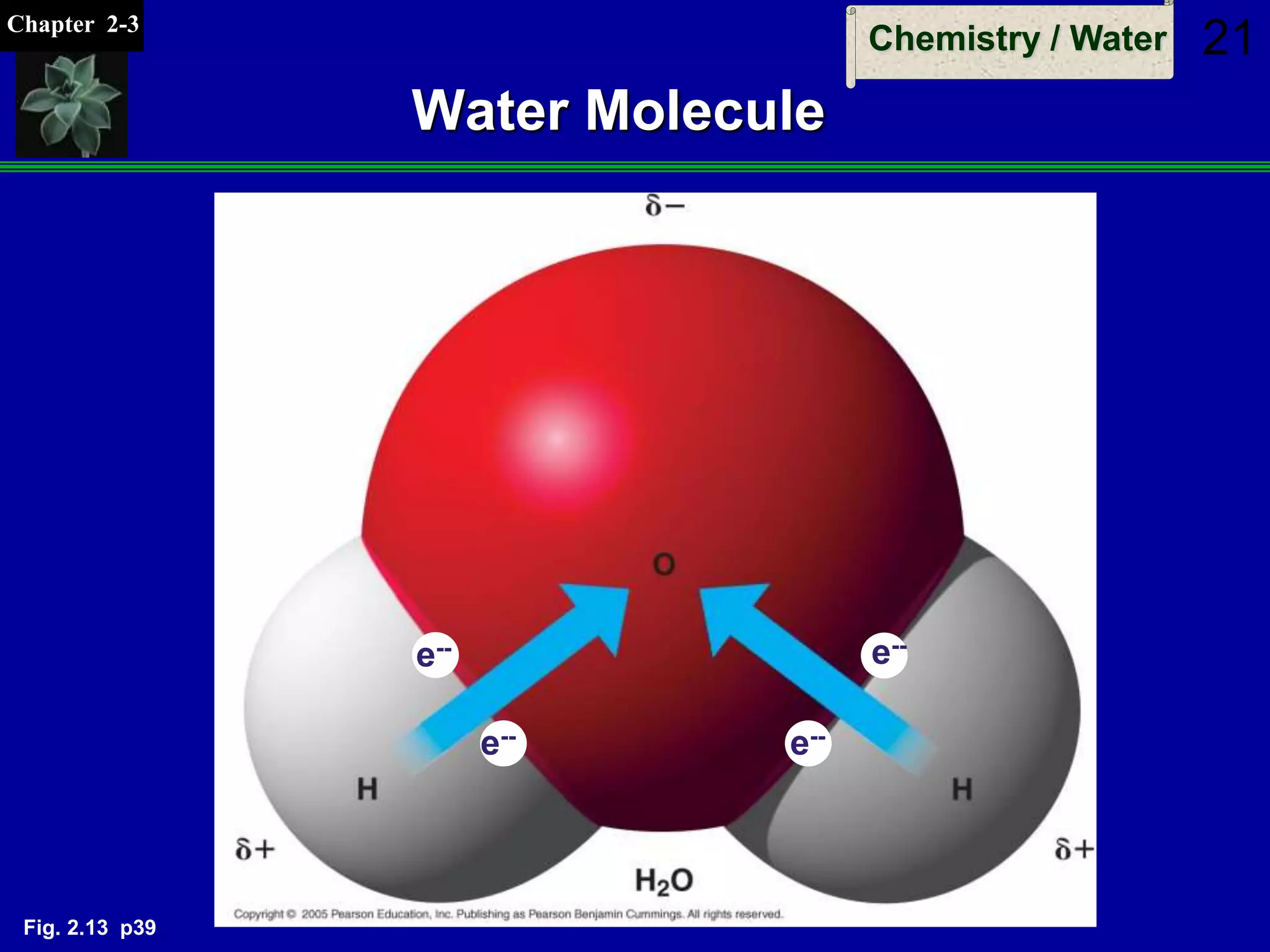 Chapter 2-3
Chemistry / Water 21
Water Molecule
e--
e-- e--
e--
Fig. 2.13 p39
 