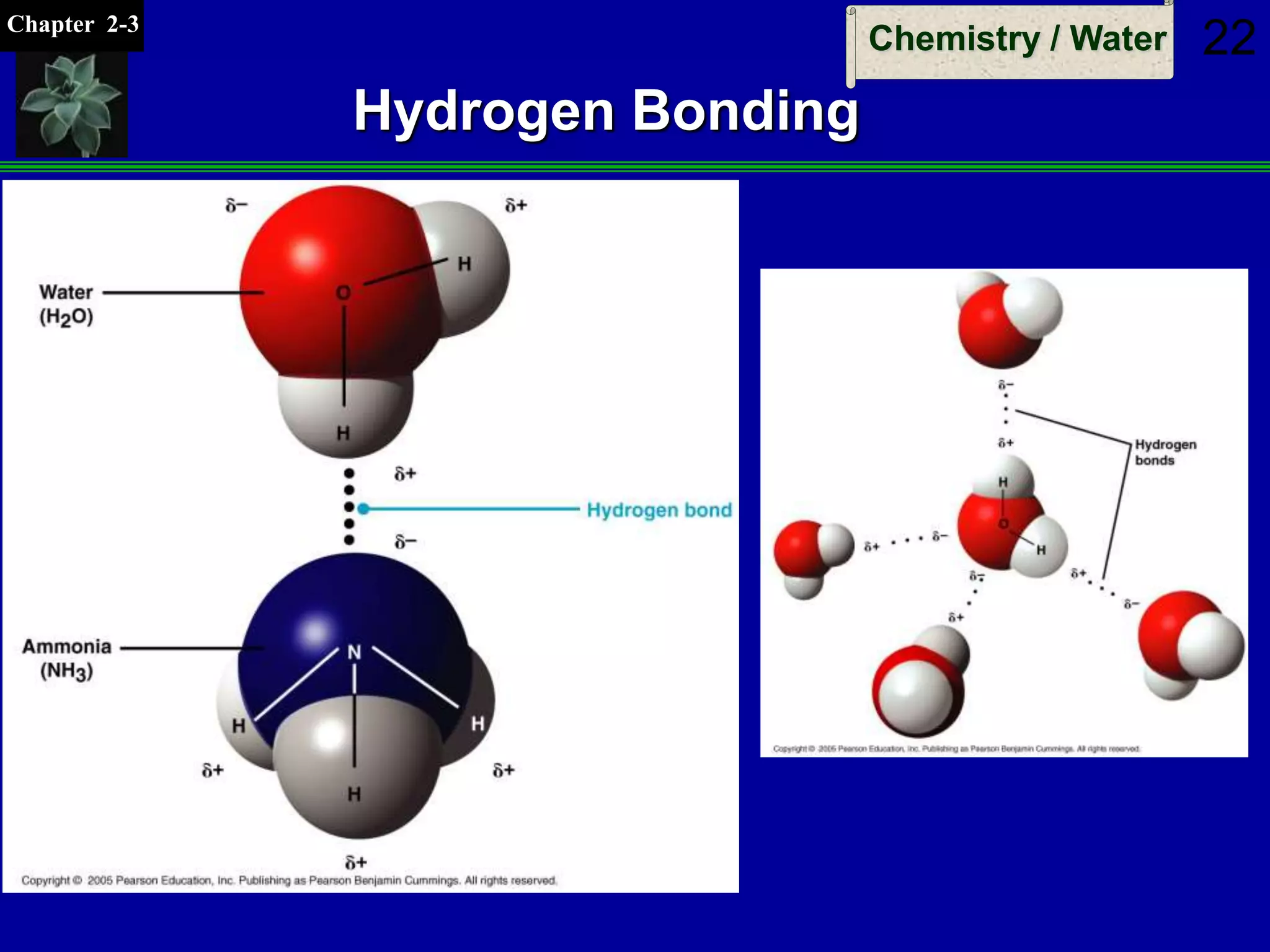 Chapter 2-3
Chemistry / Water 22
Hydrogen Bonding
 