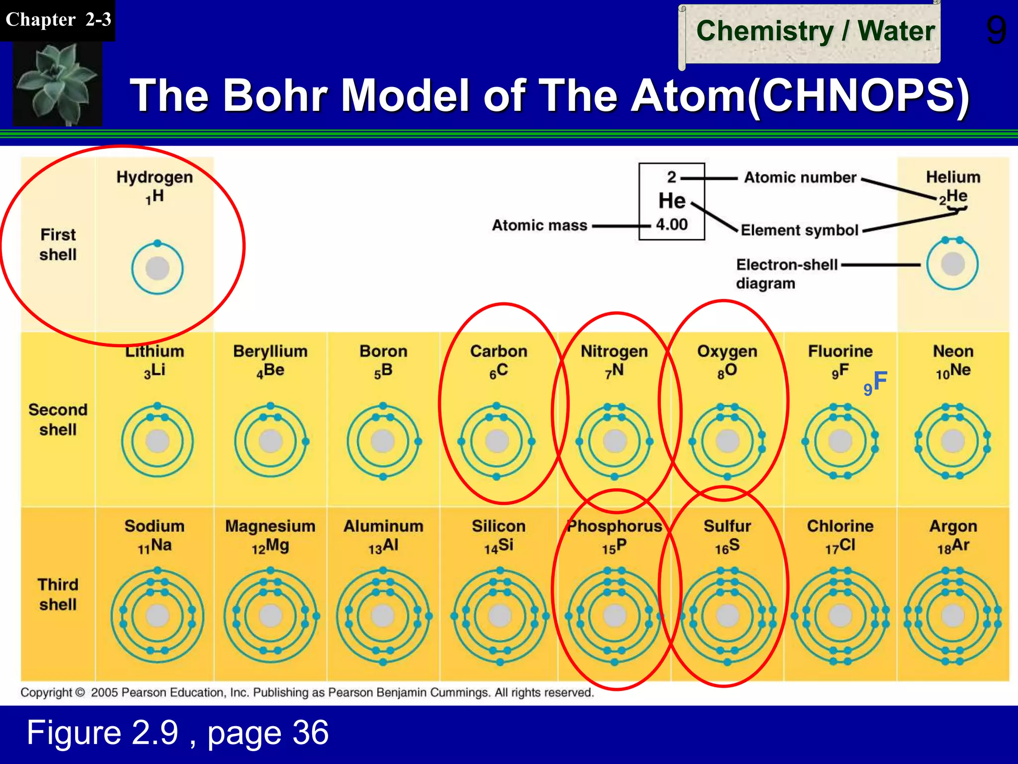 Chapter 2-3
Chemistry / Water 9
The Bohr Model of The Atom(CHNOPS)
1
2
3
1H
9F
15P
9F
Figure 2.9 , page 36
 