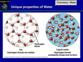 Chapter 2-3
Chemistry / Water 1
Unique properties of Water
 