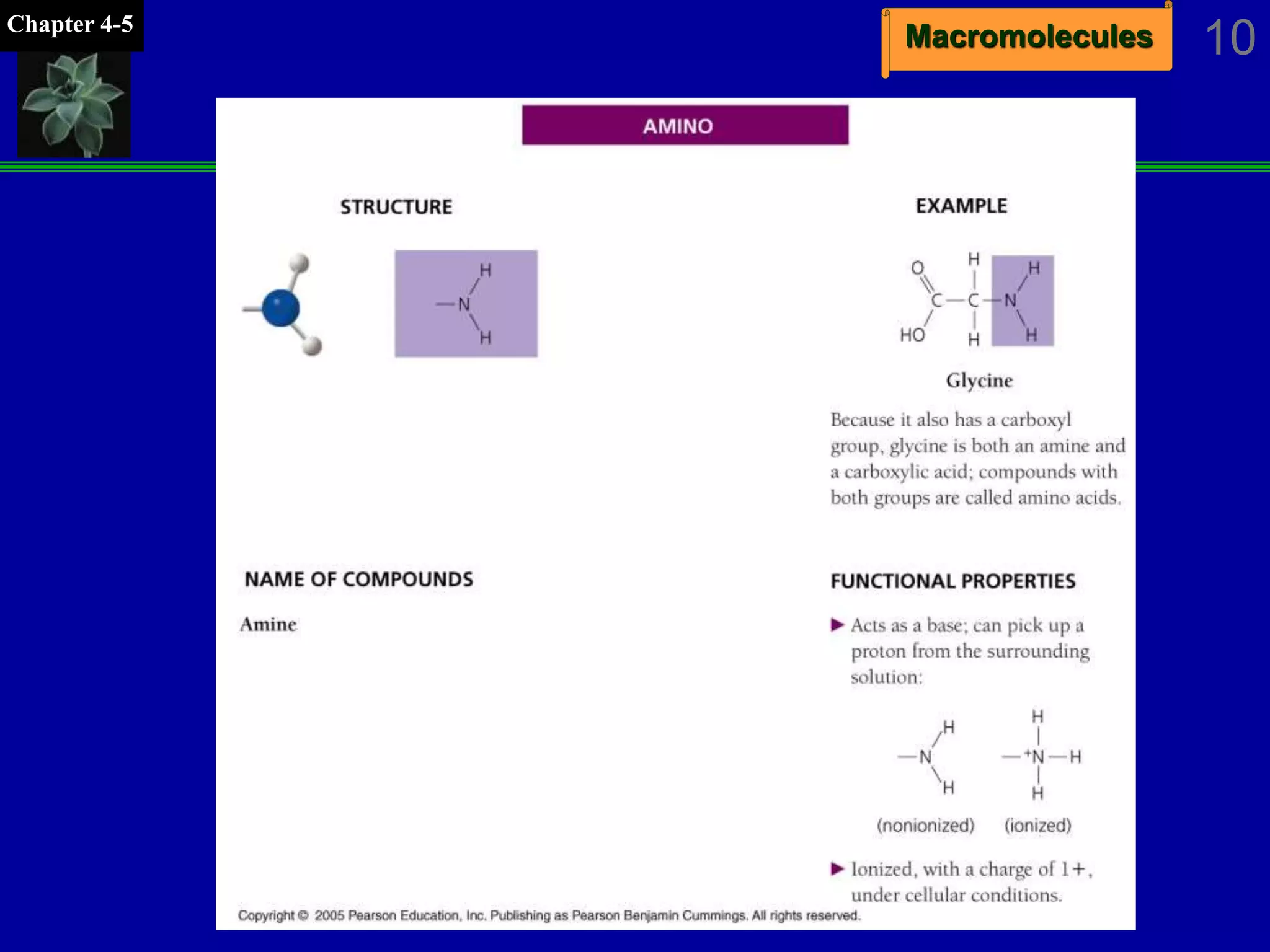 MacromoleculesChapter 4-5
10
 