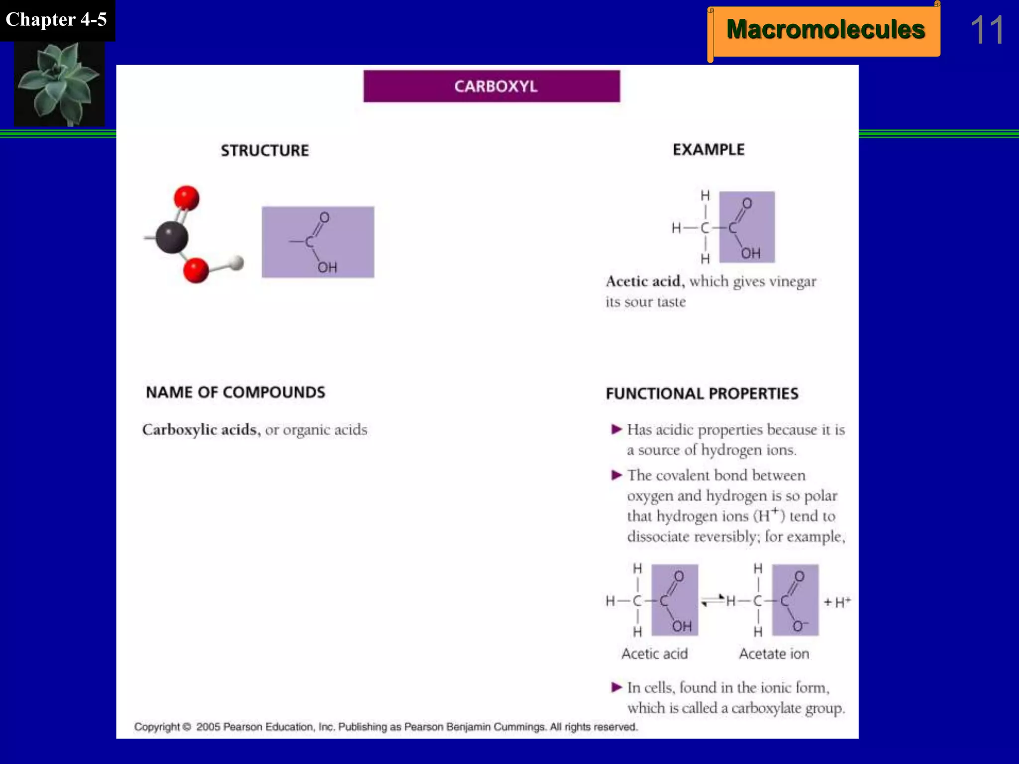 MacromoleculesChapter 4-5
11
 