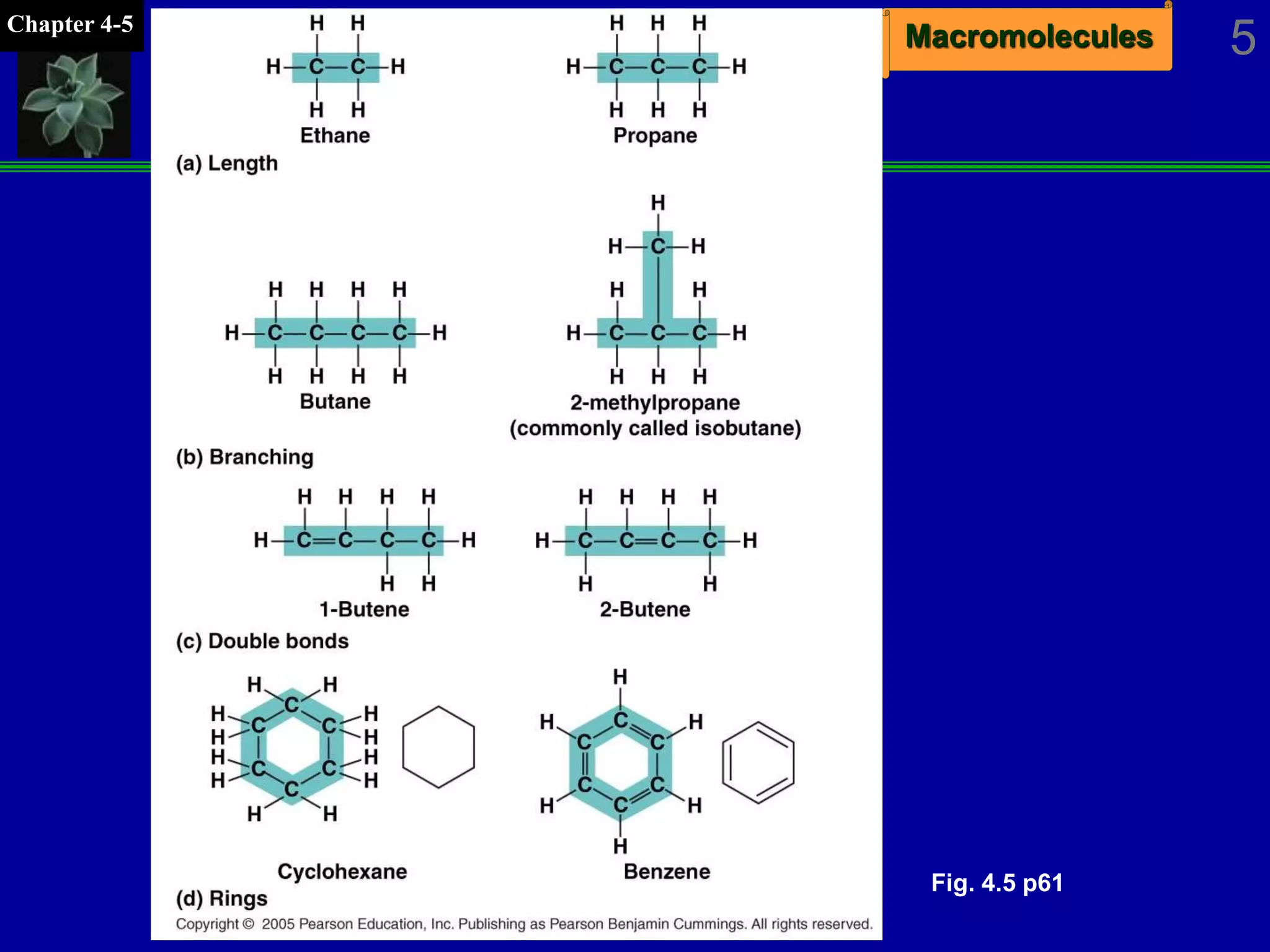 MacromoleculesChapter 4-5
5
Fig. 4.5 p61
 