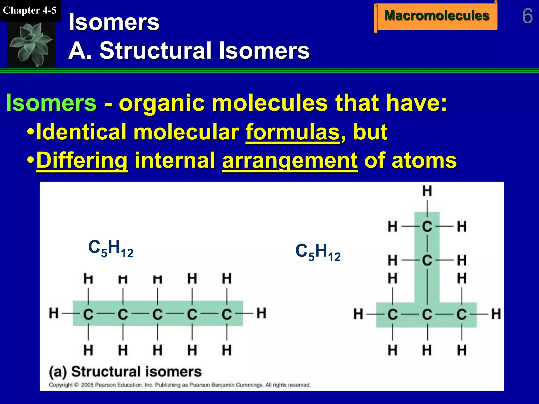 MacromoleculesChapter 4-5
6Isomers
A. Structural Isomers
Isomers - organic molecules that have:
Identical molecular formulas, but
Differing internal arrangement of atoms
C5H12 C5H12
 