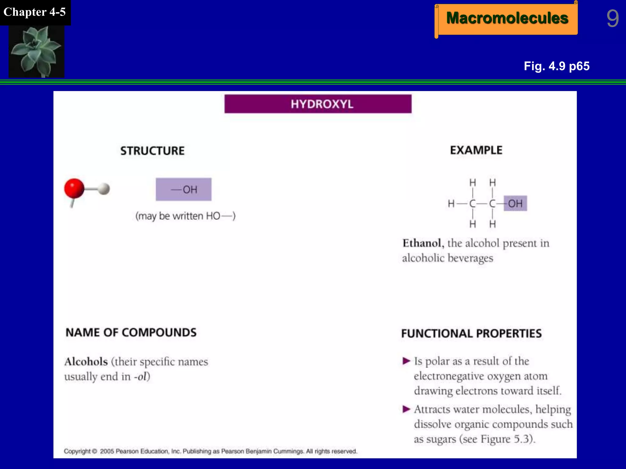 MacromoleculesChapter 4-5
9
Fig. 4.9 p65
 