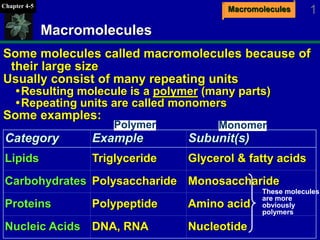 MacromoleculesChapter 4-5
1
Macromolecules
Some molecules called macromolecules because of
their large size
Usually consist of many repeating units
Resulting molecule is a polymer (many parts)
Repeating units are called monomers
Some examples:
NucleotideDNA, RNANucleic Acids
Amino acidPolypeptideProteins
MonosaccharidePolysaccharideCarbohydrates
Glycerol & fatty acidsTriglycerideLipids
Subunit(s)ExampleCategory
These molecules
are more
obviously
polymers
Polymer Monomer
 