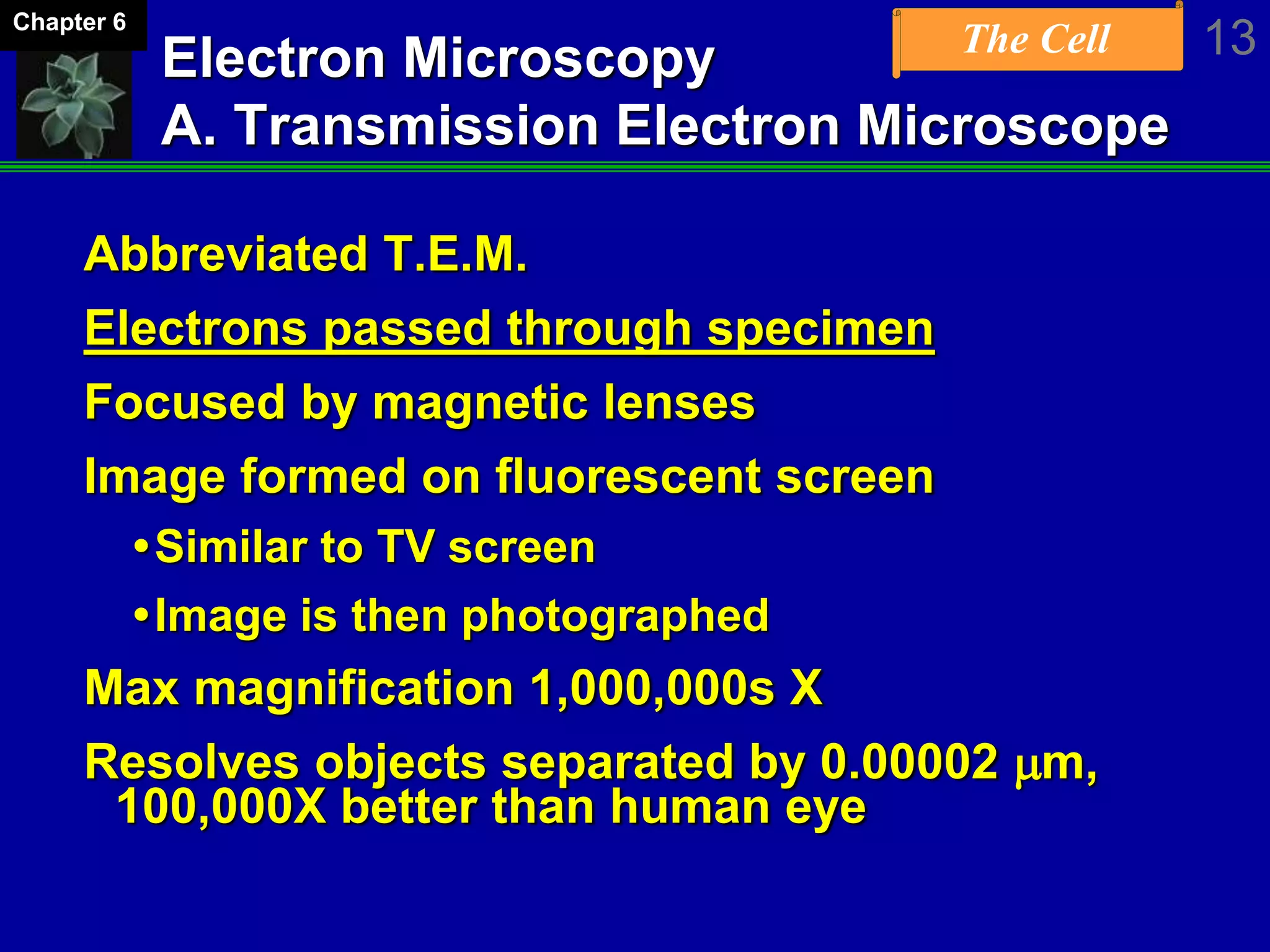 The Cell 13Chapter 6
Electron Microscopy
A. Transmission Electron Microscope
Abbreviated T.E.M.
Electrons passed through specimen
Focused by magnetic lenses
Image formed on fluorescent screen
Similar to TV screen
Image is then photographed
Max magnification 1,000,000s X
Resolves objects separated by 0.00002 mm,
100,000X better than human eye
 