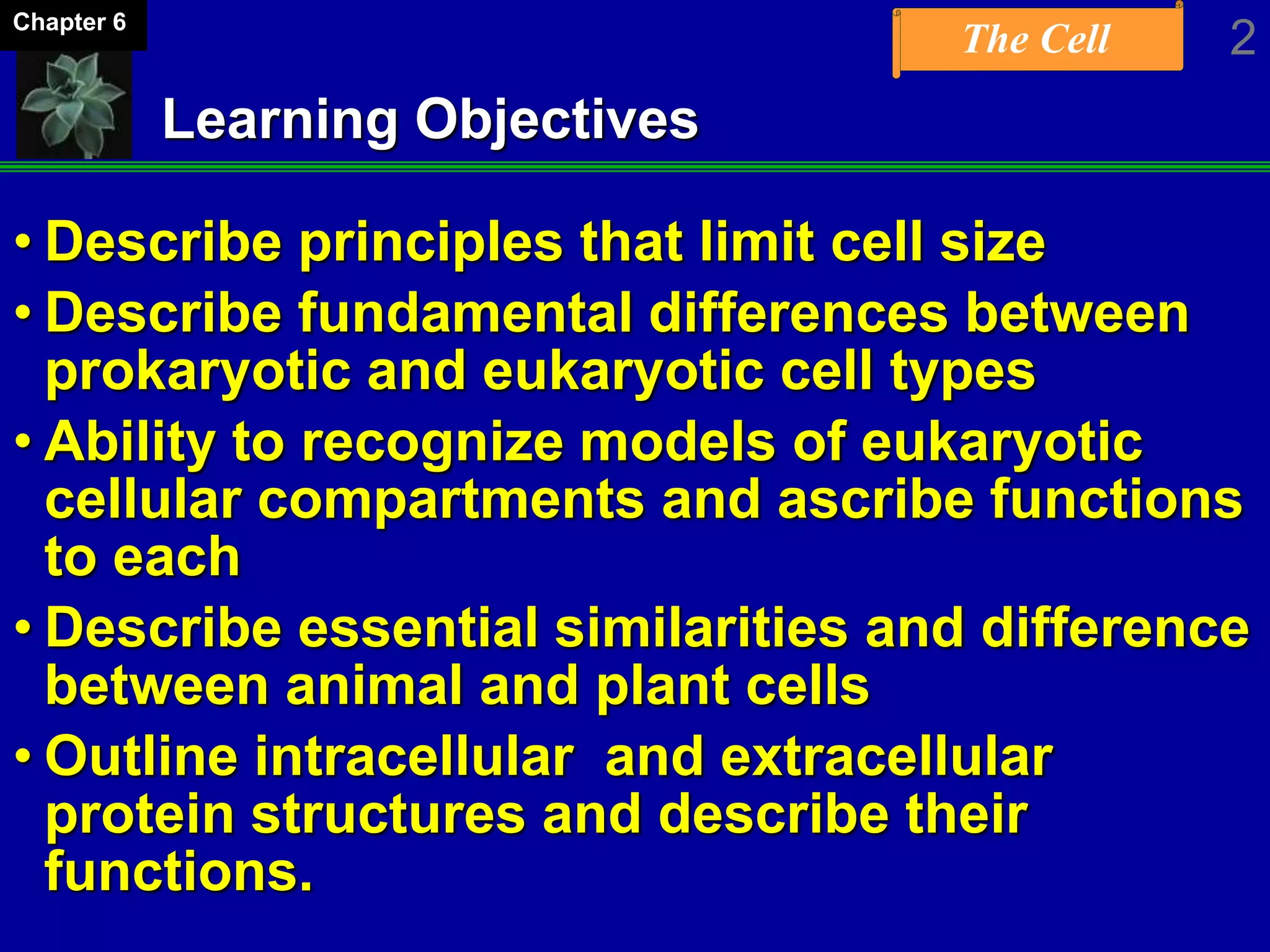 The Cell
Learning Objectives
• Describe principles that limit cell size
• Describe fundamental differences between
prokaryotic and eukaryotic cell types
• Ability to recognize models of eukaryotic
cellular compartments and ascribe functions
to each
• Describe essential similarities and difference
between animal and plant cells
• Outline intracellular and extracellular
protein structures and describe their
functions.
2Chapter 6
 
