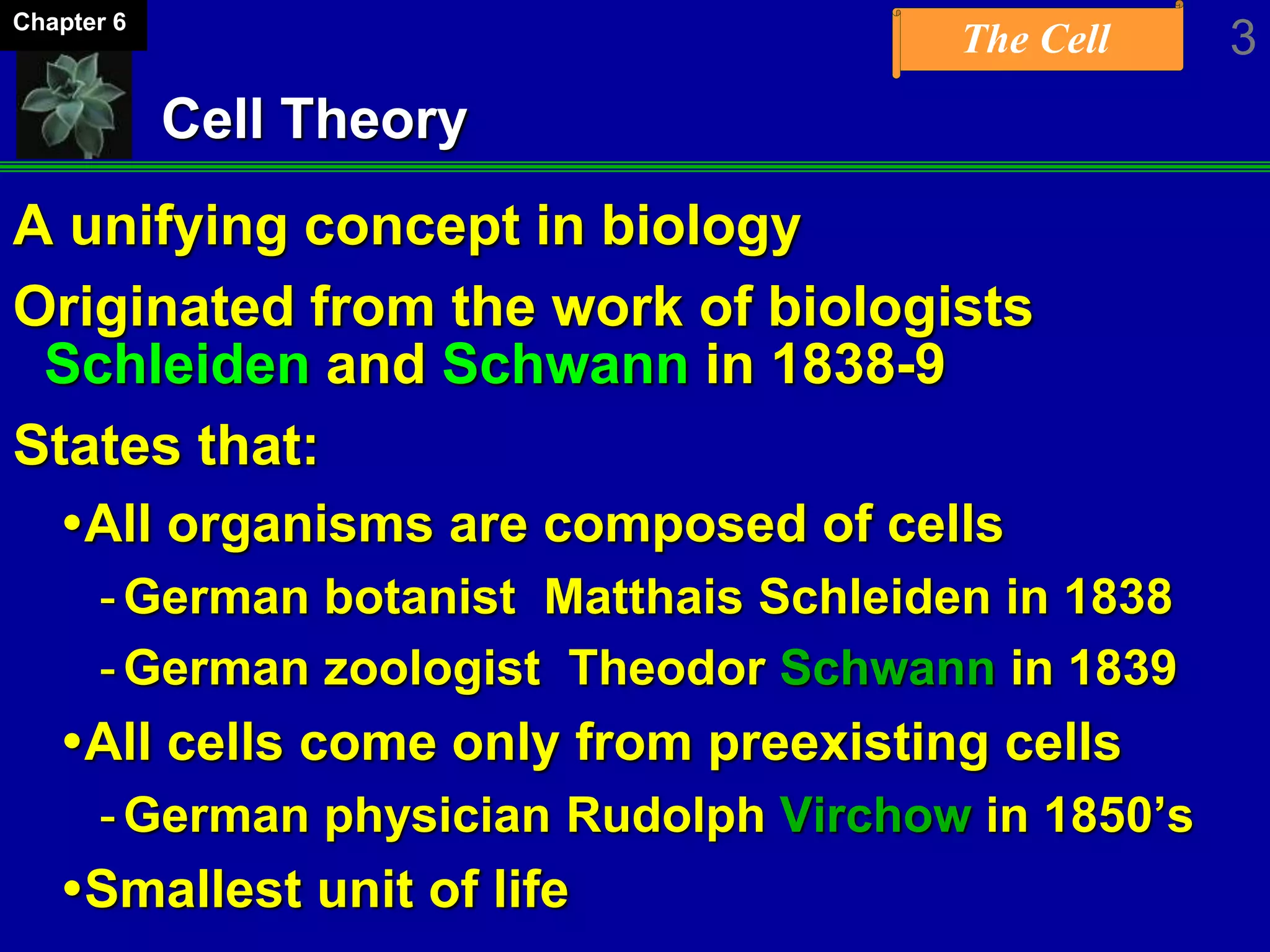 The Cell 3Chapter 6
Cell Theory
A unifying concept in biology
Originated from the work of biologists
Schleiden and Schwann in 1838-9
States that:
All organisms are composed of cells
-German botanist Matthais Schleiden in 1838
-German zoologist Theodor Schwann in 1839
All cells come only from preexisting cells
-German physician Rudolph Virchow in 1850’s
Smallest unit of life
 