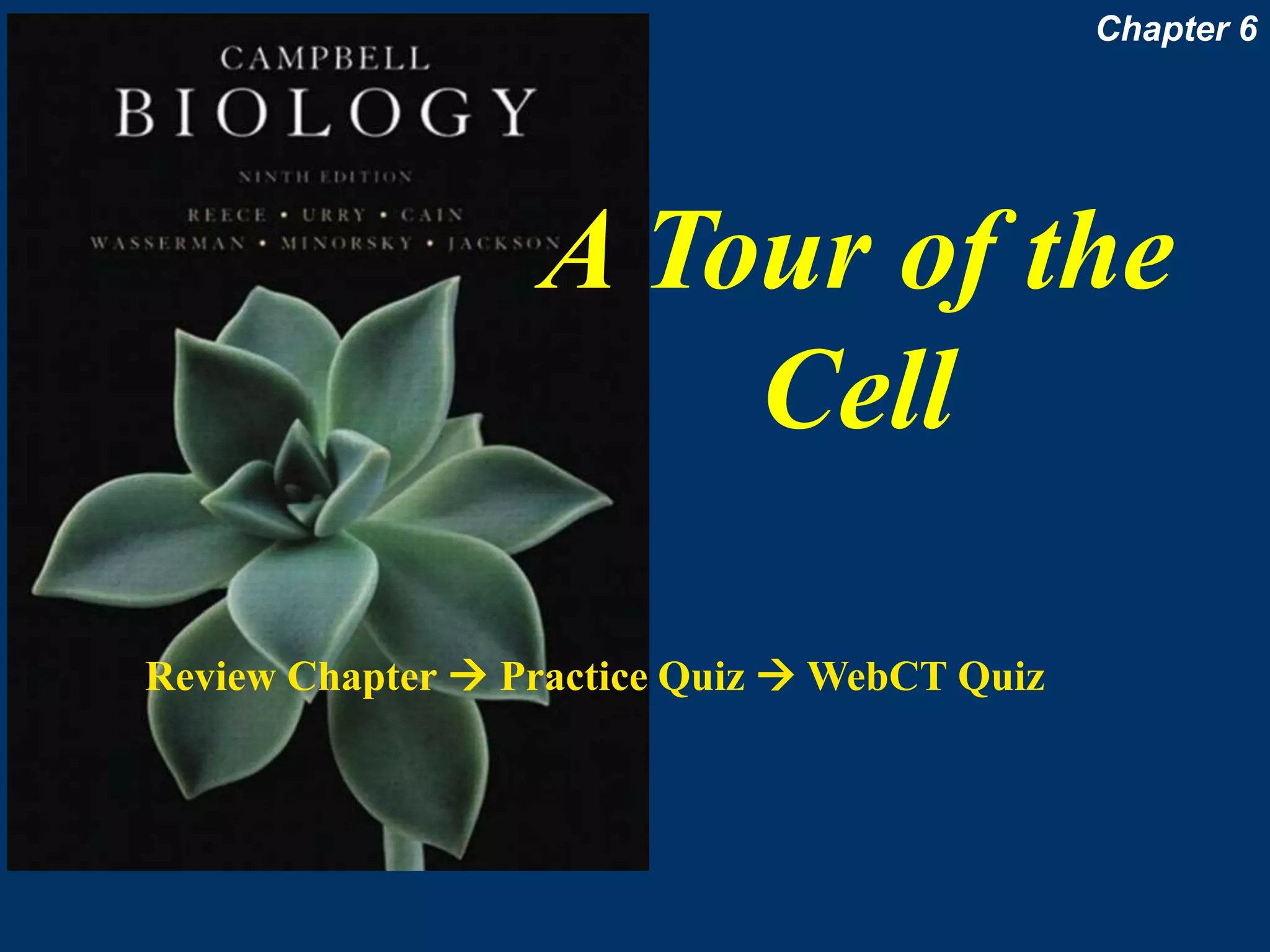 A Tour of the
Cell
Chapter 6
Review Chapter  Practice Quiz  WebCT Quiz
 