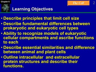 The Cell
Learning Objectives
• Describe principles that limit cell size
• Describe fundamental differences between
prokaryotic and eukaryotic cell types
• Ability to recognize models of eukaryotic
cellular compartments and ascribe functions
to each
• Describe essential similarities and difference
between animal and plant cells
• Outline intracellular and extracellular
protein structures and describe their
functions.
2Chapter 6
 