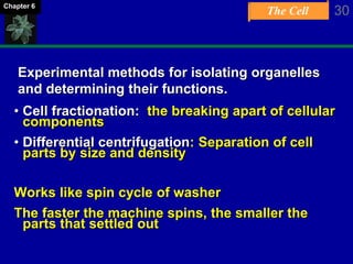 The Cell 30Chapter 6
Experimental methods for isolating organelles
and determining their functions.
• Cell fractionation: the breaking apart of cellular
components
• Differential centrifugation: Separation of cell
parts by size and density
Works like spin cycle of washer
The faster the machine spins, the smaller the
parts that settled out
 