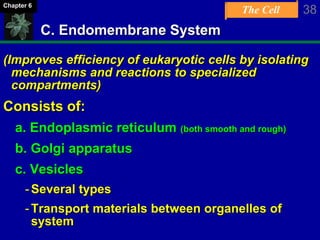 The Cell 38Chapter 6
C. Endomembrane System
(Improves efficiency of eukaryotic cells by isolating
mechanisms and reactions to specialized
compartments)
Consists of:
a. Endoplasmic reticulum (both smooth and rough)
b. Golgi apparatus
c. Vesicles
-Several types
-Transport materials between organelles of
system
 