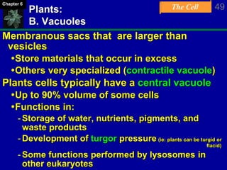 The Cell 49Chapter 6
Plants:
B. Vacuoles
Membranous sacs that are larger than
vesicles
Store materials that occur in excess
Others very specialized (contractile vacuole)
Plants cells typically have a central vacuole
Up to 90% volume of some cells
Functions in:
-Storage of water, nutrients, pigments, and
waste products
-Development of turgor pressure (ie: plants can be turgid or
flacid)
-Some functions performed by lysosomes in
other eukaryotes
 