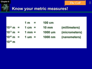 The Cell 8Chapter 6
Know your metric measures!
1 m = 100 cm
10-2 m = 1 cm = 10 mm (millimeters)
10-3 m = 1 mm = 1000 um (micrometers)
10-6 m = 1 um = 1000 nm (nanometers)
10-9 m
 