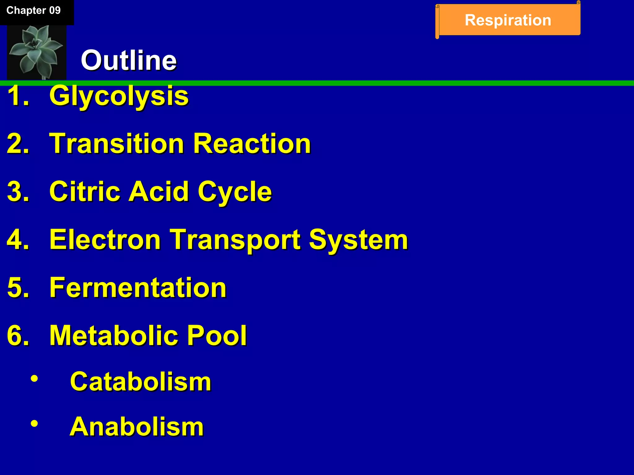 Chapter 09
Respiration
OutlineOutline
1.1. GlycolysisGlycolysis
2.2. Transition ReactionTransition Reaction
3.3. Citric Acid CycleCitric Acid Cycle
4.4. Electron Transport SystemElectron Transport System
5.5. FermentationFermentation
6.6. Metabolic PoolMetabolic Pool
 CatabolismCatabolism
 AnabolismAnabolism
 