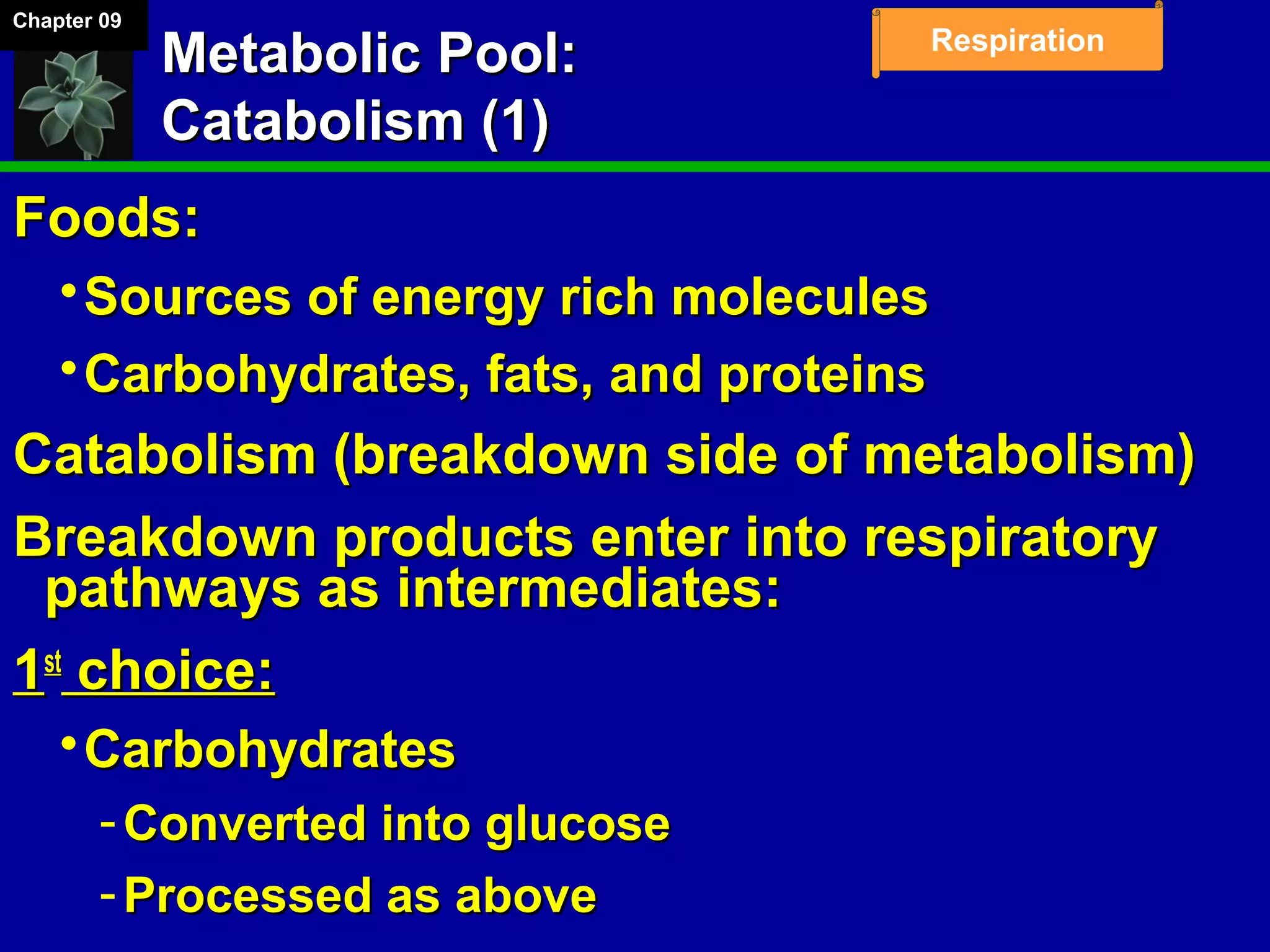 Chapter 09
Respiration
Metabolic Pool:Metabolic Pool:
Catabolism (1)Catabolism (1)
Foods:Foods:
Sources of energy rich moleculesSources of energy rich molecules
Carbohydrates, fats, and proteinsCarbohydrates, fats, and proteins
Catabolism (breakdown side of metabolism)Catabolism (breakdown side of metabolism)
Breakdown products enter into respiratoryBreakdown products enter into respiratory
pathways as intermediates:pathways as intermediates:
11stst
choice:choice:
CarbohydratesCarbohydrates
­ Converted into glucoseConverted into glucose
­ Processed as aboveProcessed as above
 