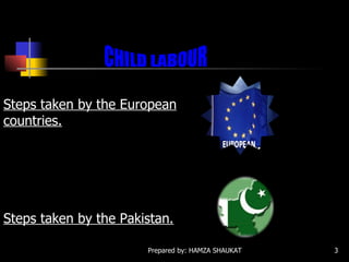 Steps taken by the European countries. Steps taken by the Pakistan. CHILD LABOUR 