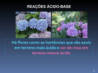 Há flores como as hortênsias que são azuis em terreno mais ácido e  cor-de-rosa em terreno menos ácido REAÇÕES ÁCIDO-BASE 