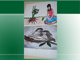 Slides - Professora Cláudia