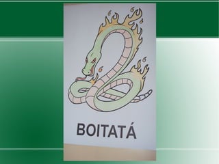 Slides - Professora Cláudia