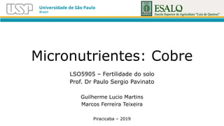 Micronutrientes: Cobre
LSO5905 – Fertilidade do solo
Prof. Dr Paulo Sergio Pavinato
Guilherme Lucio Martins
Marcos Ferreira Teixeira
Piracicaba – 2019
 