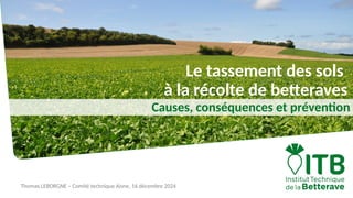 Thomas LEBORGNE – Comité technique Aisne, 16 décembre 2024
Le tassement des sols
à la récolte de betteraves
Causes, conséq...