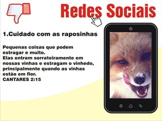 Redes Sociais