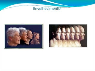 Envelhecimento
 