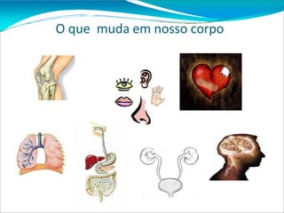 O que muda em nosso corpo
 