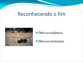 Reconhecendo o fim
⚫Óbito na residência
⚫Óbitoem instituição
 