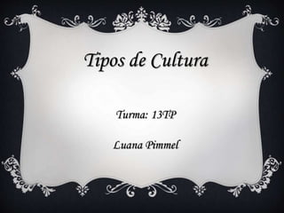 Tipos de Cultura 
Turma: 13TP 
Luana Pimmel 
 