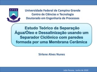 Universidade Federal de Campina Grande
Centro de Ciências e Tecnologia
Doutorado em Engenharia de Processos
Sirlene Alves Nunes
João Pessoa, Junho de 2020
 